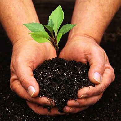 gardening-0011-6656814