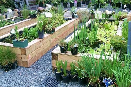 gardening-0041-5516032