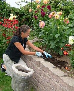gardening-0051-245x300-4677658