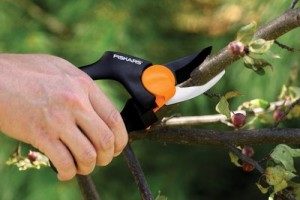 gardening-007-300x200-7141300