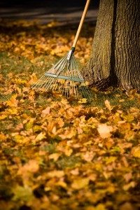 gardening-008-200x300-3431759