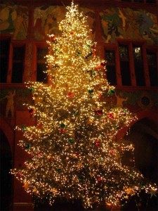 christmas-trees-005-225x300-2111402