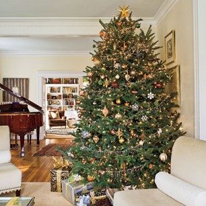 christmas-trees-007-300x300-3086660