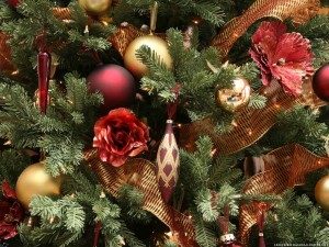 christmas-trees-008-300x225-9148861