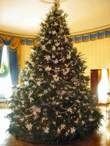 christmas-trees-009-225x300-6790421