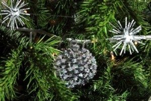 christmas-trees-010-300x200-3593490