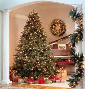 christmas-trees-011-288x300-5686257