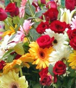 flowers-005-258x300-6015001