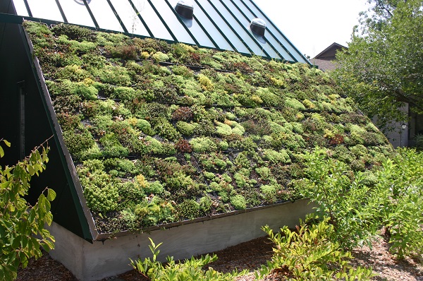 Green Roofs What are They and Why You Should Use Them