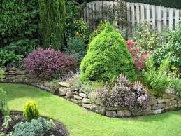 Landscaping Ideas for The Evergreen Backyard