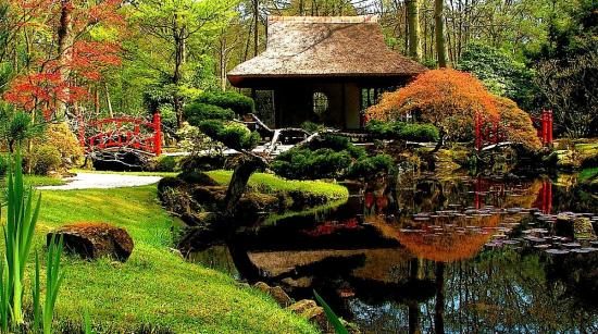 5 Simple But Different Backyard Landscaping Ideas