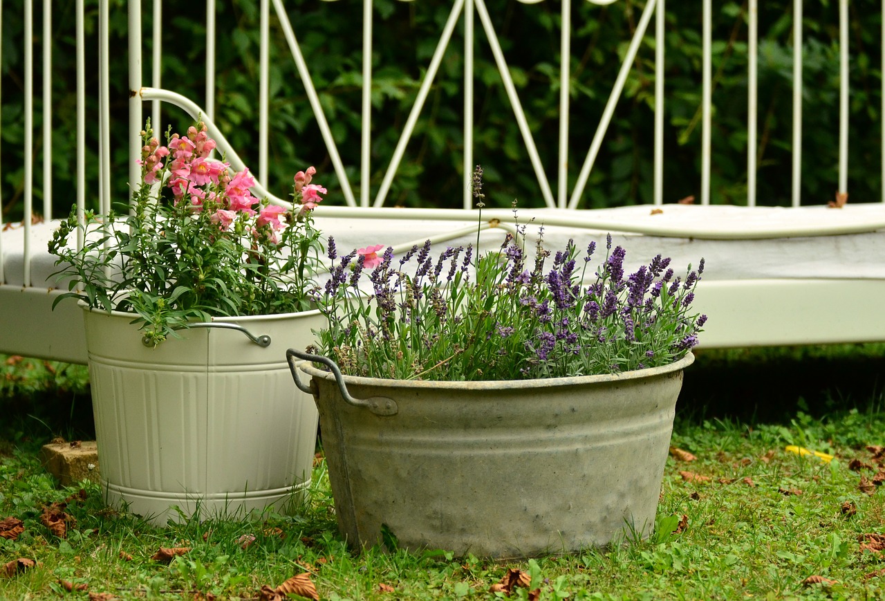 Understanding Container Gardening